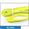 RS-3000-1,00