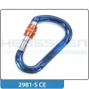 2981-S CE